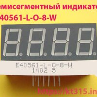 Семисегментный индикатор E40561-L-O-8-W